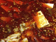 -云鱿记鱿鱼鸡·野生菌火锅(人民南路店)