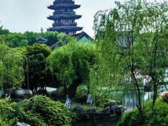 -苏州吴宫泛太平洋酒店