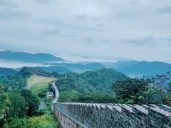 -黄贤森林公园