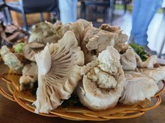-易门野生菌府·菌海森林(月牙潭公园店)