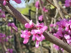 -北京植物园南门售票处