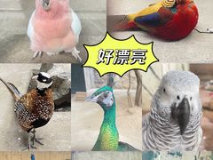 -北京动物园