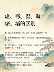 -玛莲朵·海菲秀冰珀科