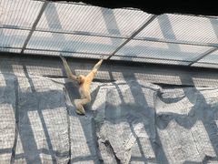 -武汉动物园