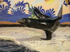 -太平洋海底世界