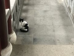 -檀园