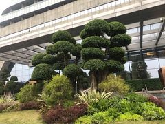 -重庆悦来温德姆酒店