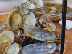 -海月湾海景餐厅( 嵊泗本地老字号店)