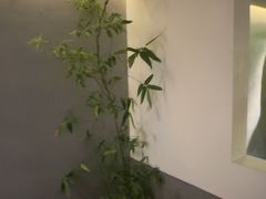 -本处·素食·融合料理(南油店)