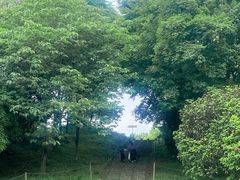 -钟山体育运动公园