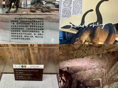 -中国西峡恐龙遗迹园