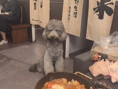 -沏点Trattoria意大利餐厅(新街口店)