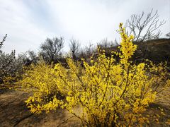 -白水寺森林公园