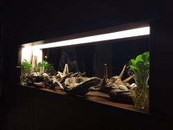 -艾维庭美学SPA