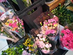 -山东嘉汇文化用品有限公司张店凤凰国际分公司(新村西路店)