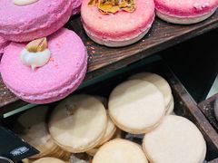 -LUSH(威尼斯人店)