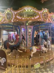 -卡通尼·Safari非洲探索乐园·生日会(金桥国际商业广场店)