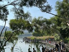 -五缘湾湿地公园