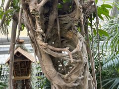 -北京植物园-展览温室