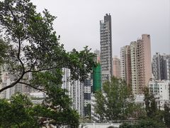 -香港大学