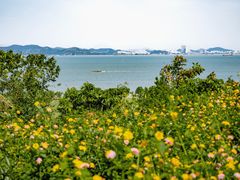 -南沙蒲洲花园