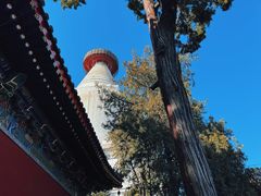 -妙应寺白塔