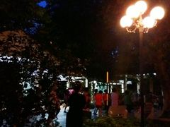 -东风公园