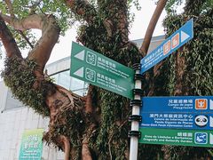 -石排湾郊野公园