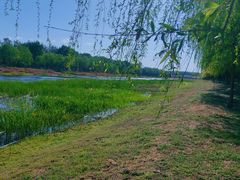 -香木香羊(小汤山店)