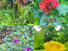 -广州珠江公园