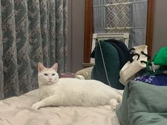 -联合动物医院(光谷诊疗中心)