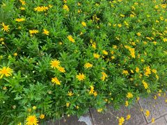 -沙县小吃(果林金谷店)