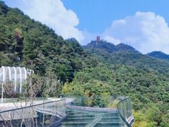 -缙云山景区