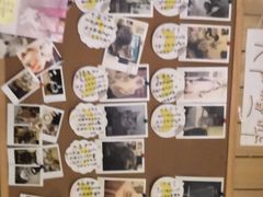 -猫色咖啡·猫咖