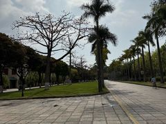 -厦门大学(思明校区)