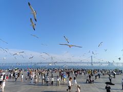 -星海广场