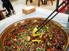 壁山兔-瓦房兔(璧山店)