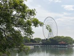 -无锡蠡湖国家湿地公园-蠡园