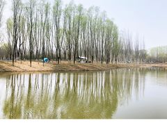 -东郊湿地公园