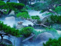 -罗红摄影艺术馆