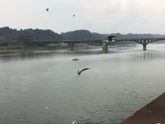 -王浩儿纪六孃甜皮鸭(乐山总店)