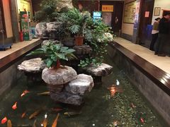 -农家大院(纪王店)