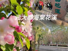 -海棠花溪(元大都城垣遗址公园)