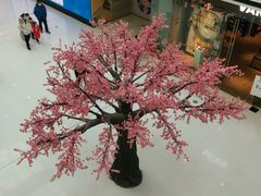 -万达茂商场(南京仙林店)