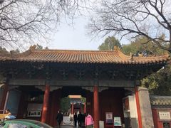 -北京国子监胡同