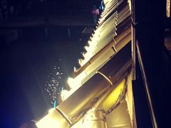 -西湖外事游船(湖滨二公园外事游船码头)