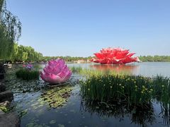 -洛阳市隋唐城遗址植物园
