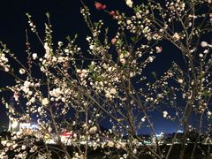 -黎阳老街