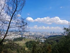 -长虫山生态公园风景林