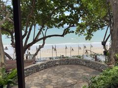 -卷心菜和避孕套餐厅(Pattaya)